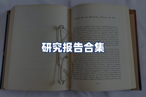 研究报告合集